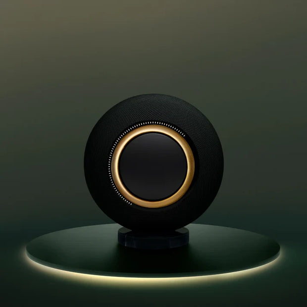 Wireless Powered Speaker System - Iconic Sound with Heritage 🎵✨