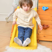 5-in-1 Outdoor and Indoor Playground Playset